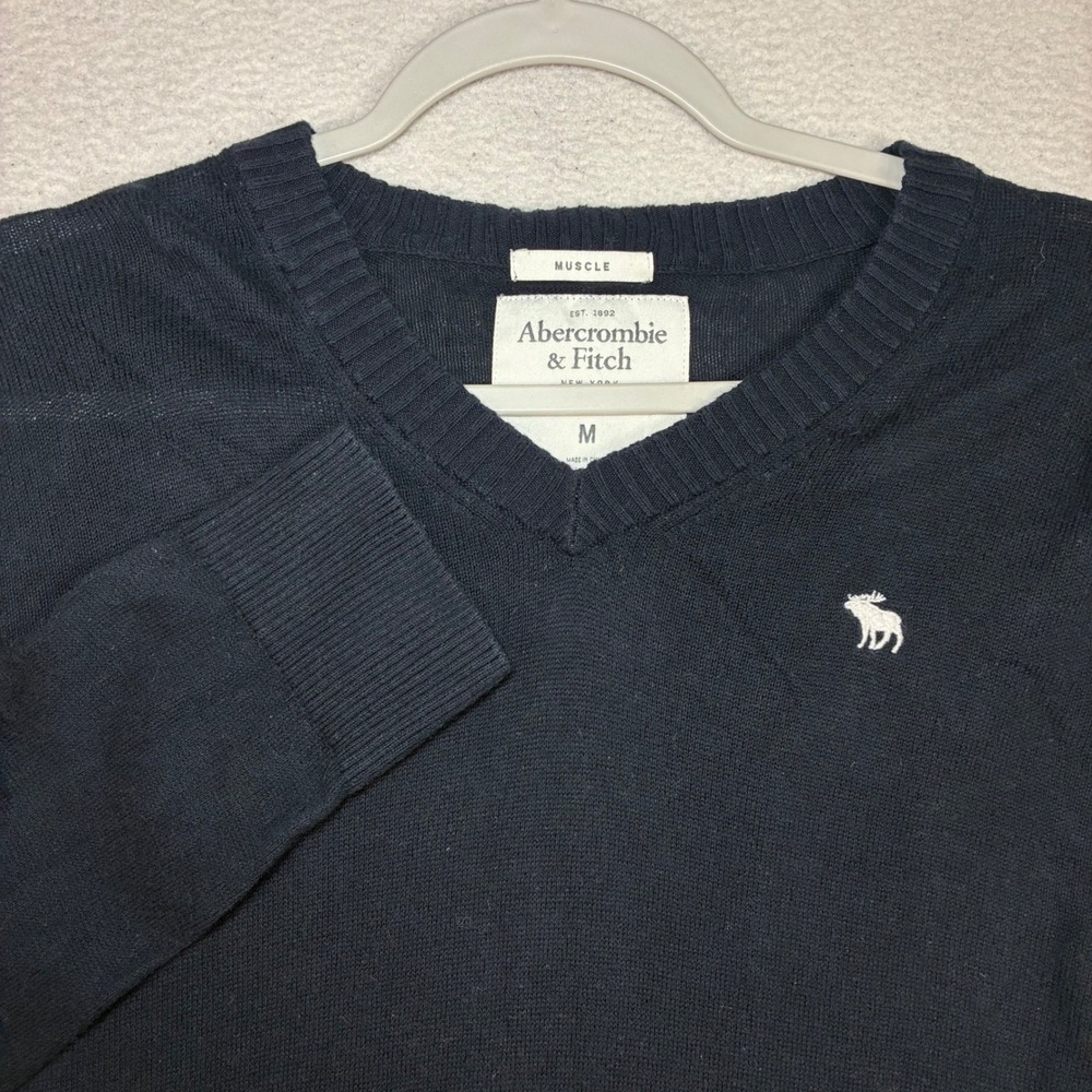 Abercrombie Fitch V Neck Cashmere Sweater Men M Blue Muscle Blend Preppy Y2K
